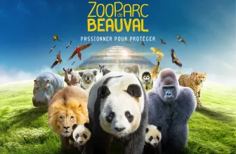 🦁 Séjour à Beauval : jusqu’à -25% sur les nuits d’hôtel !