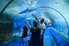 Marineland : offre sur billet adulte et enfant